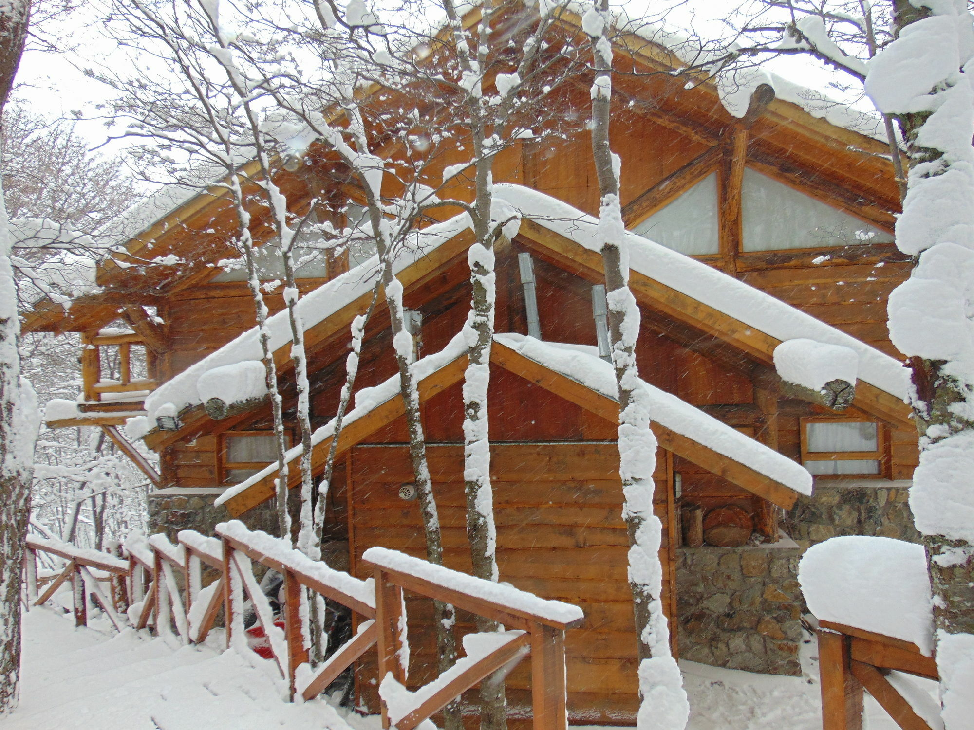 Patagonia Villa Lodge Ushuaia Ngoại thất bức ảnh